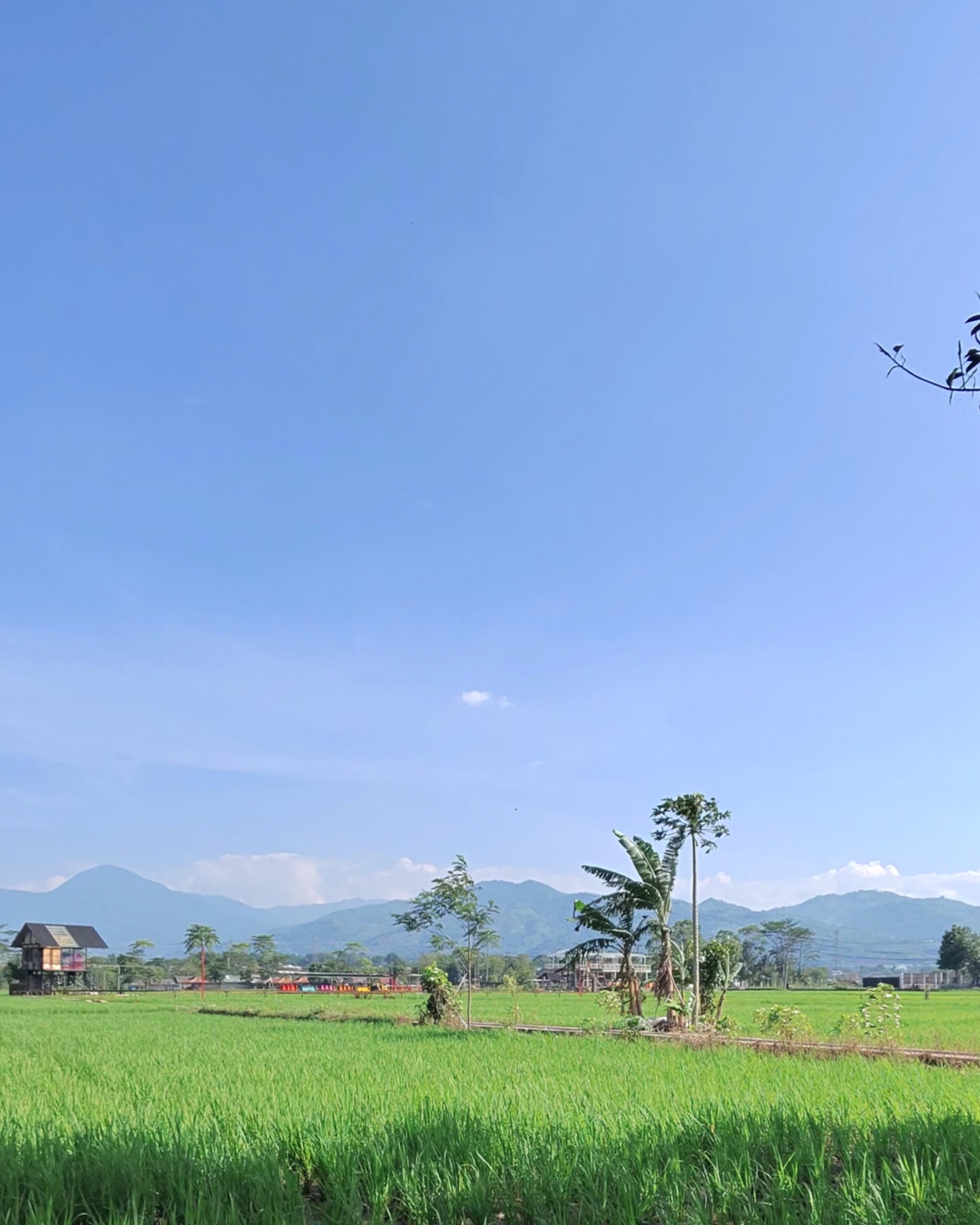 samuelgitoharsono@gmail.com banner
