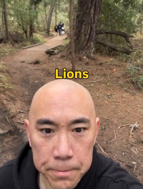 Travel Reel