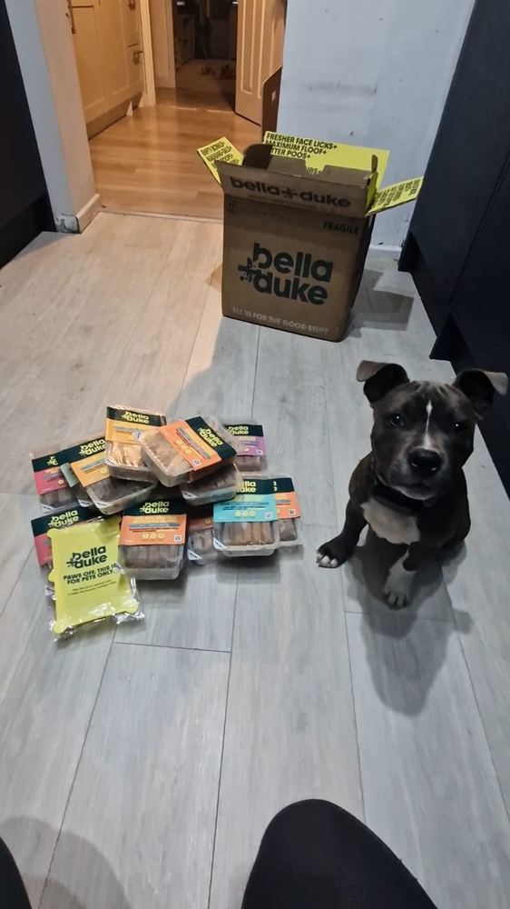 Bella & Duke Unboxing and Feeding