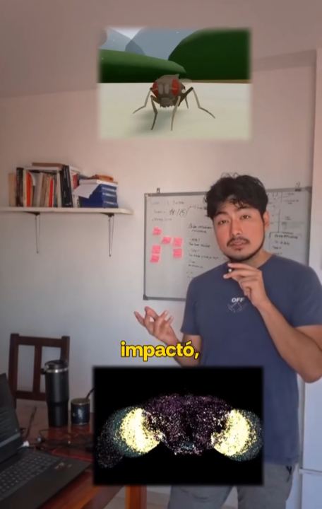 Organoid Intelligence